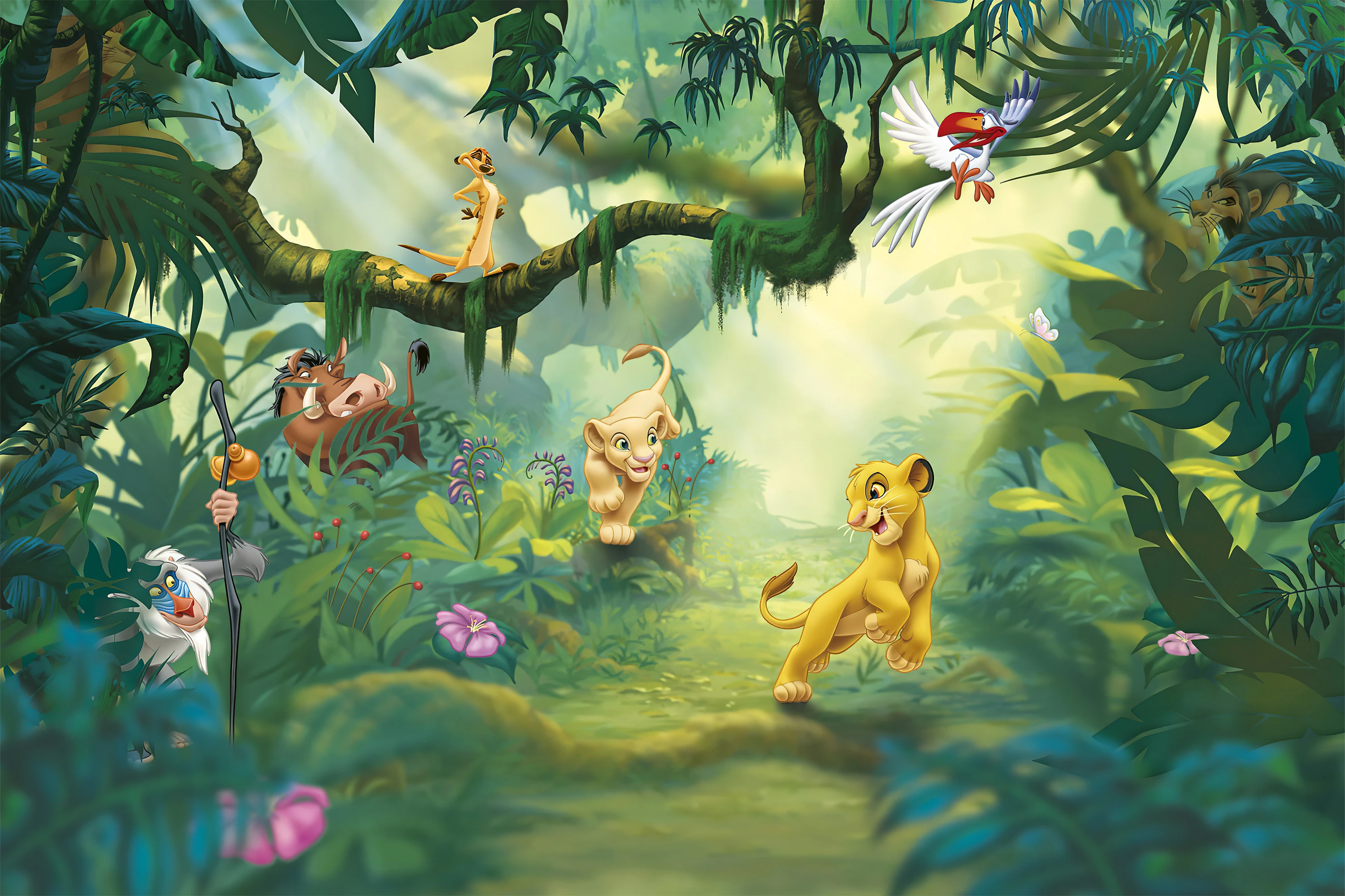   Fototapeta Simba I Przyjaciele 11