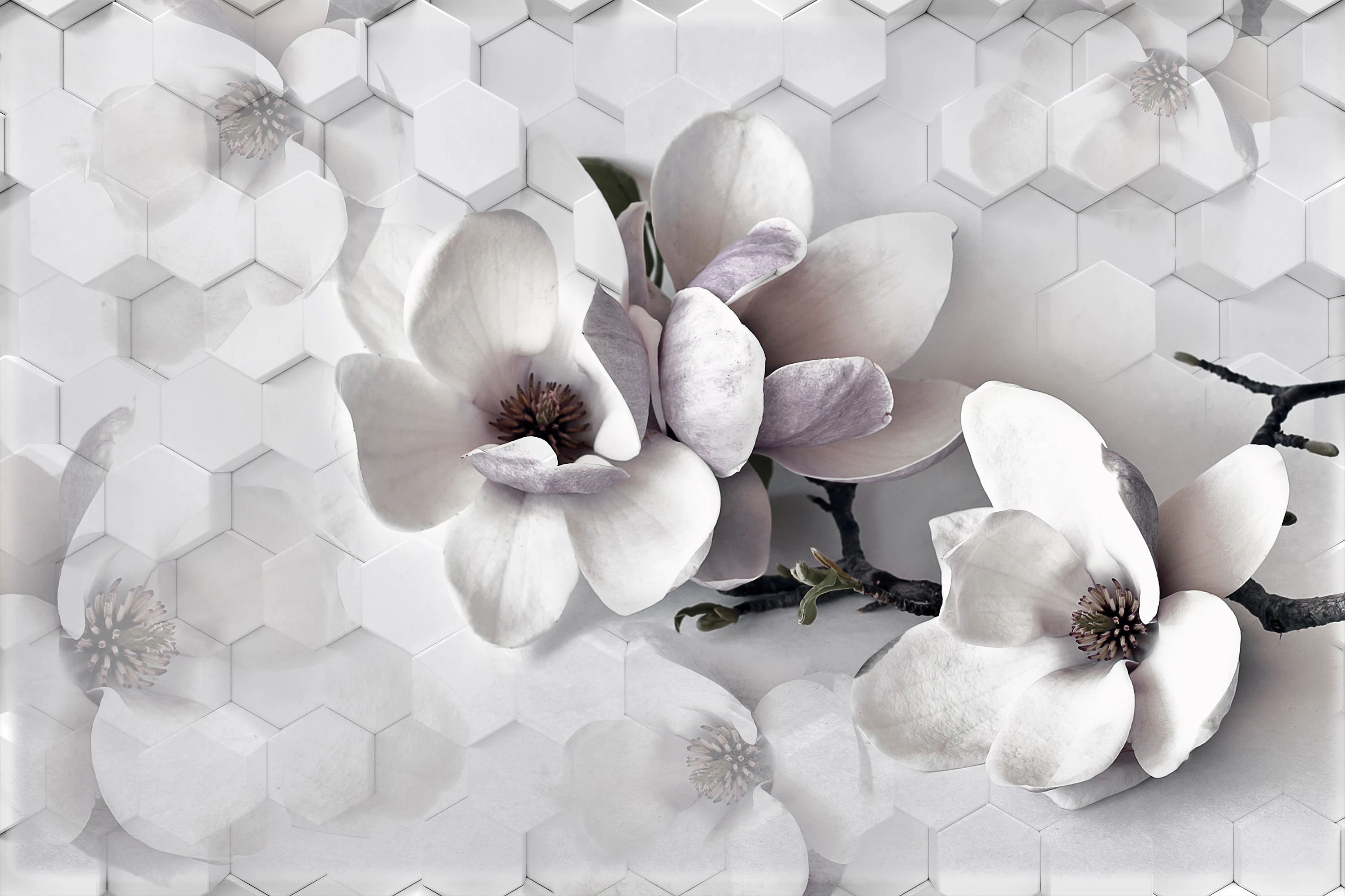 Fototapeta Delikatna 3D Orchidea 6
