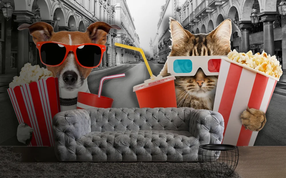 Fototapeta Zwierzęta I Popcorn