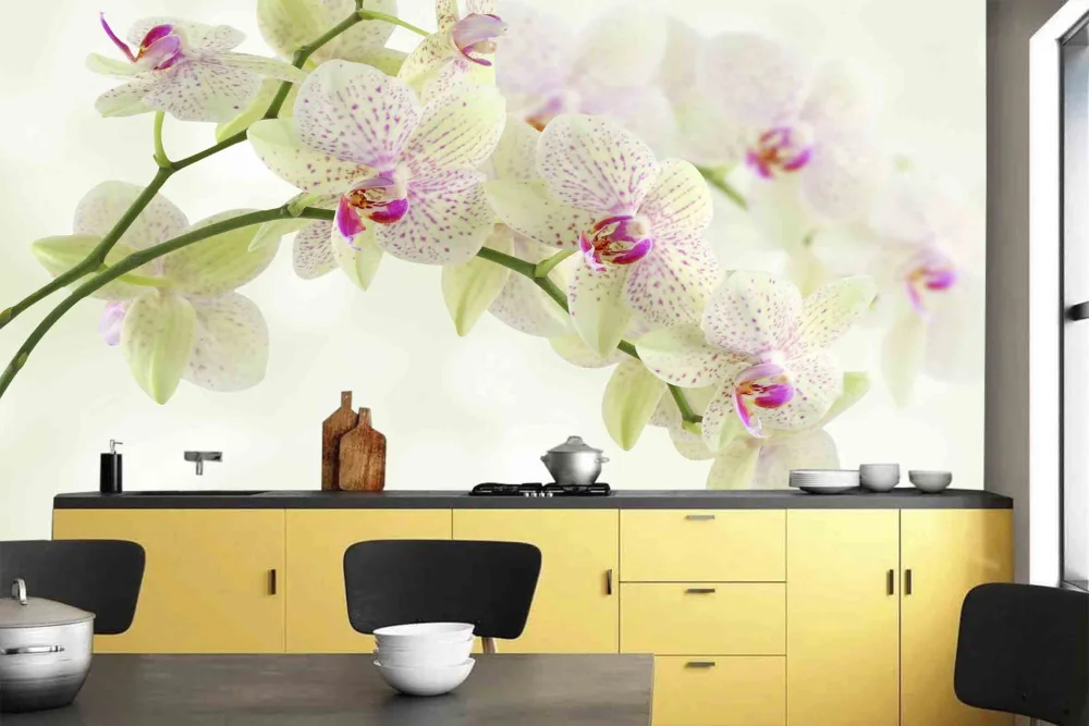 Fototapeta Gałąź Białej Orchidei