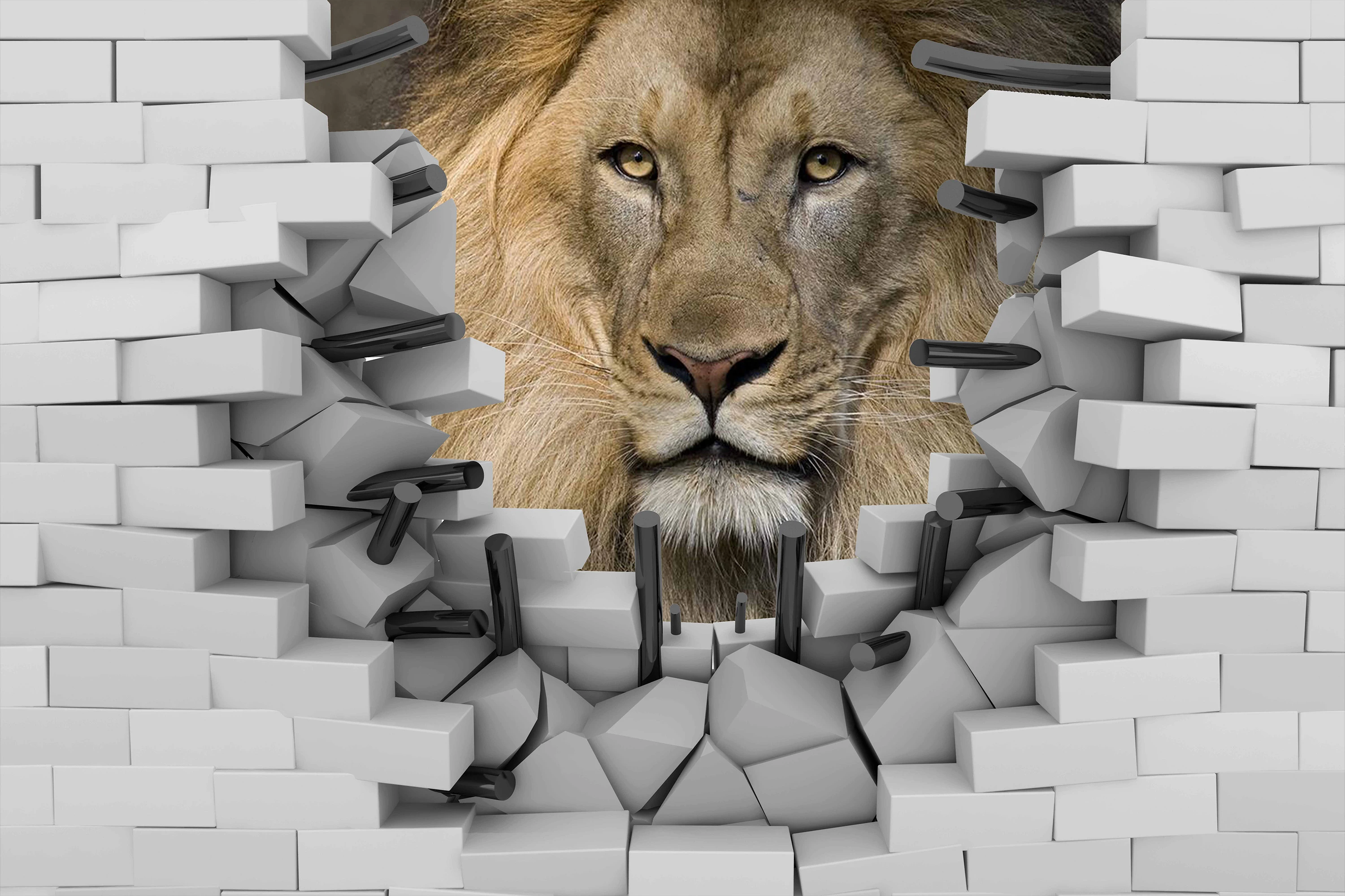 Fototapeta Lew 3D  7