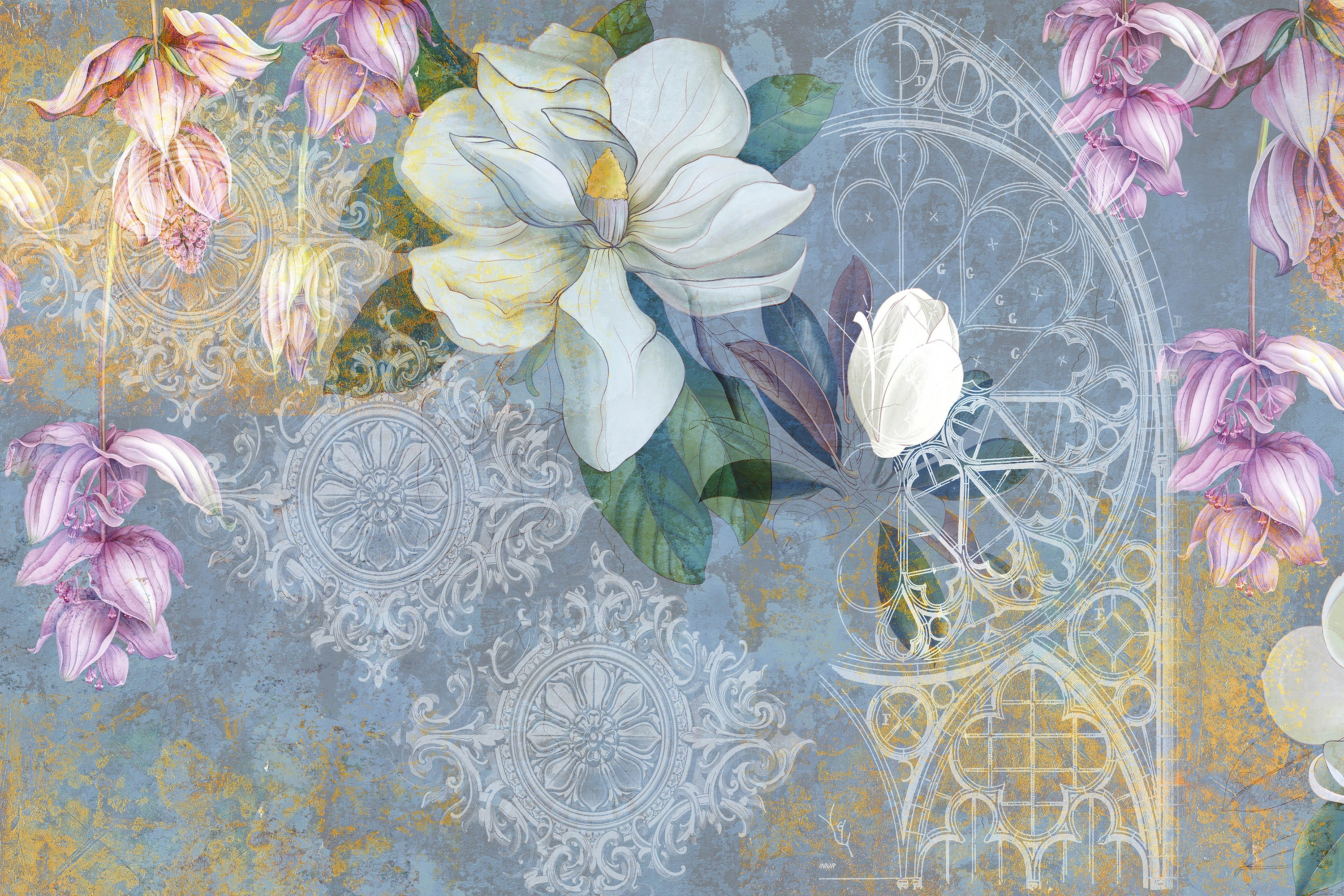 Fototapeta Magnolia  6