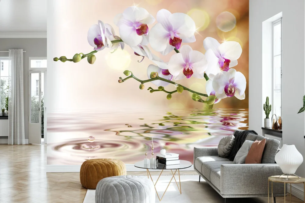 Fototapeta Odbicie Orchidei W Wodzie