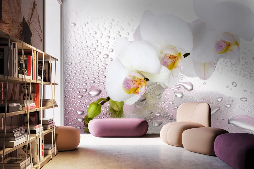 Fototapeta Orchidea