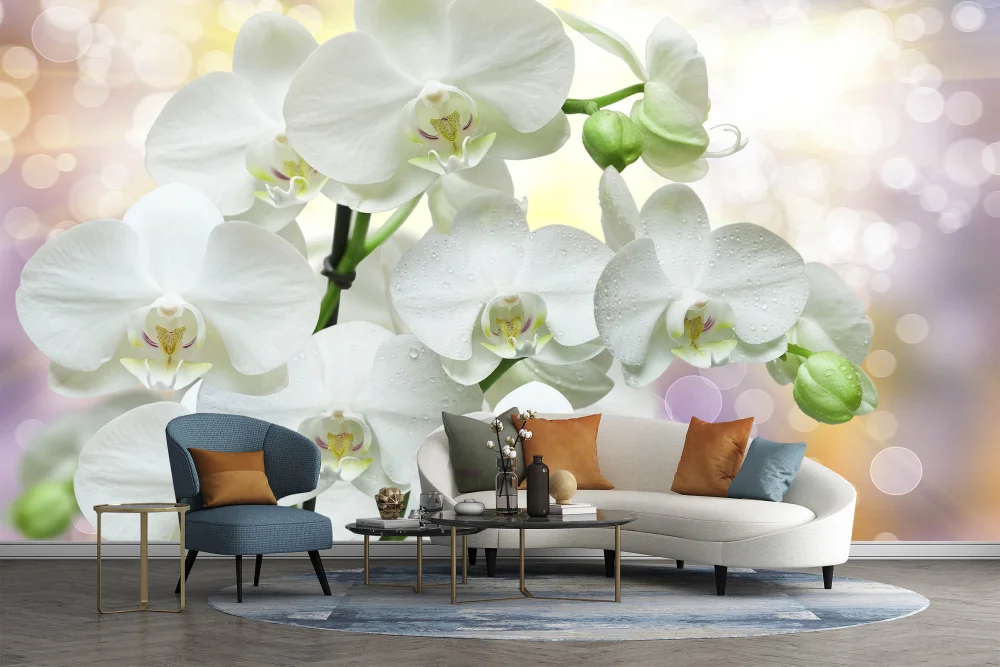 Fototapeta Piękna Gałąź Orchidei