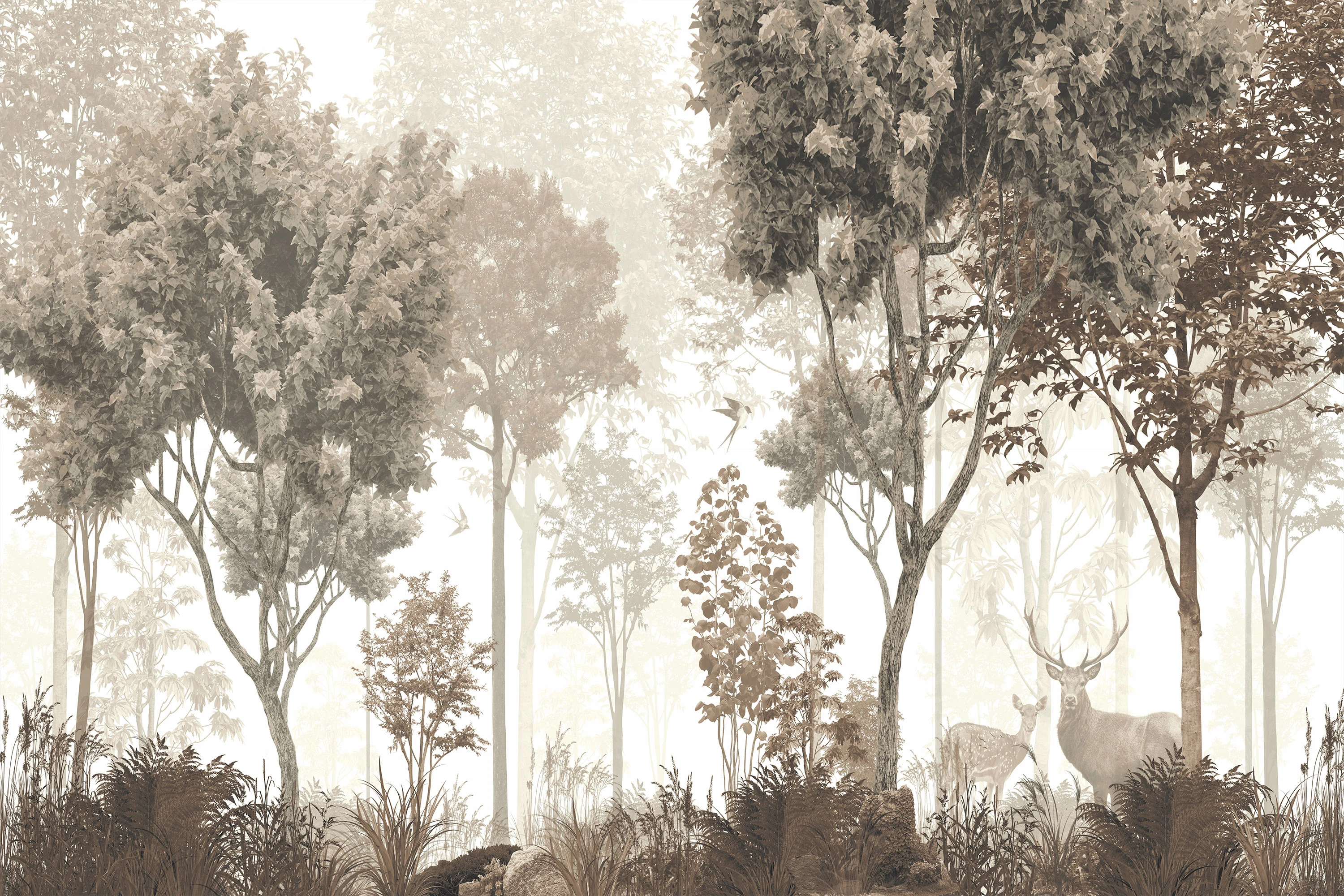Fototapeta Tajemnicza Natura 7